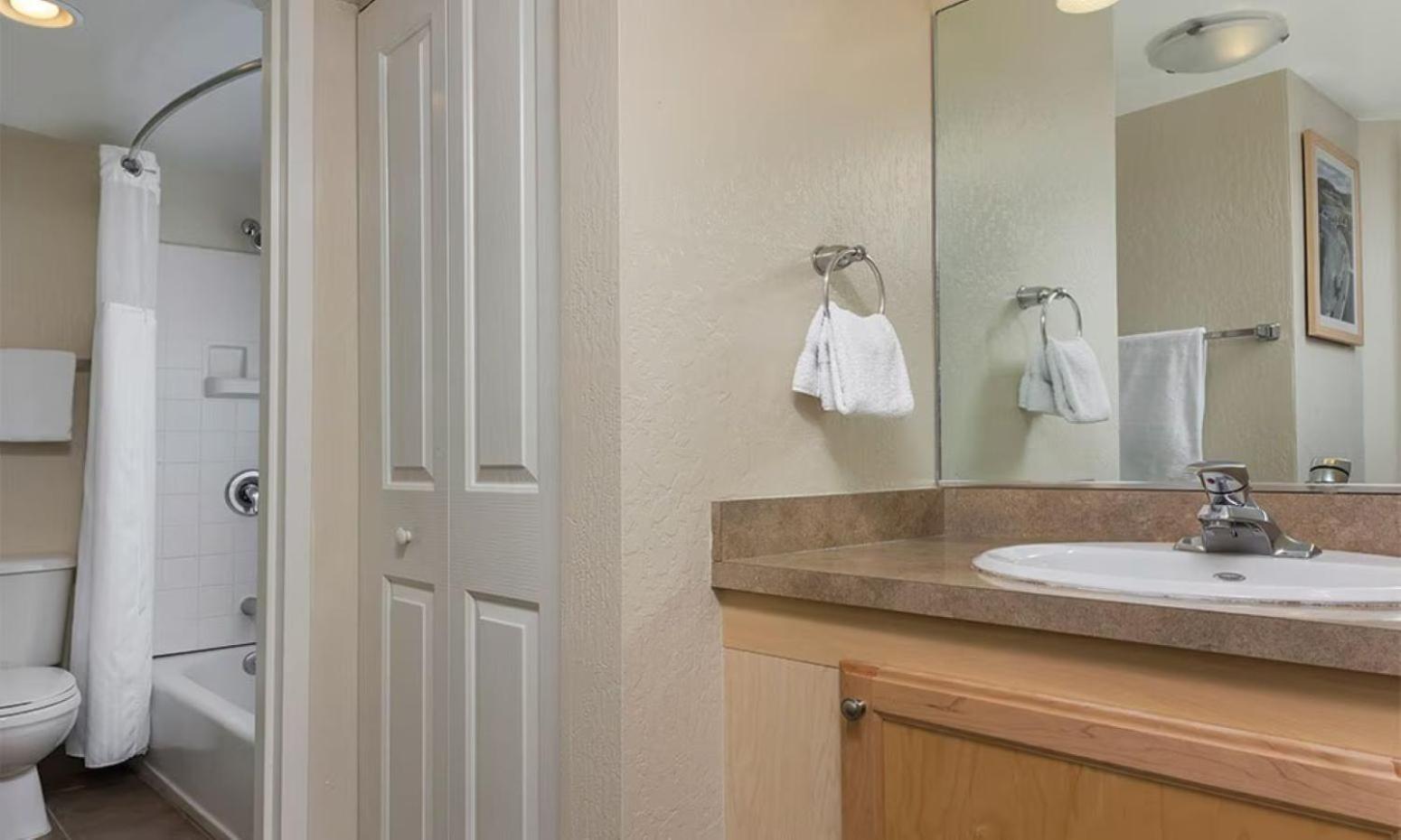 Great 1bd With Amenities Take In Has To Offer
